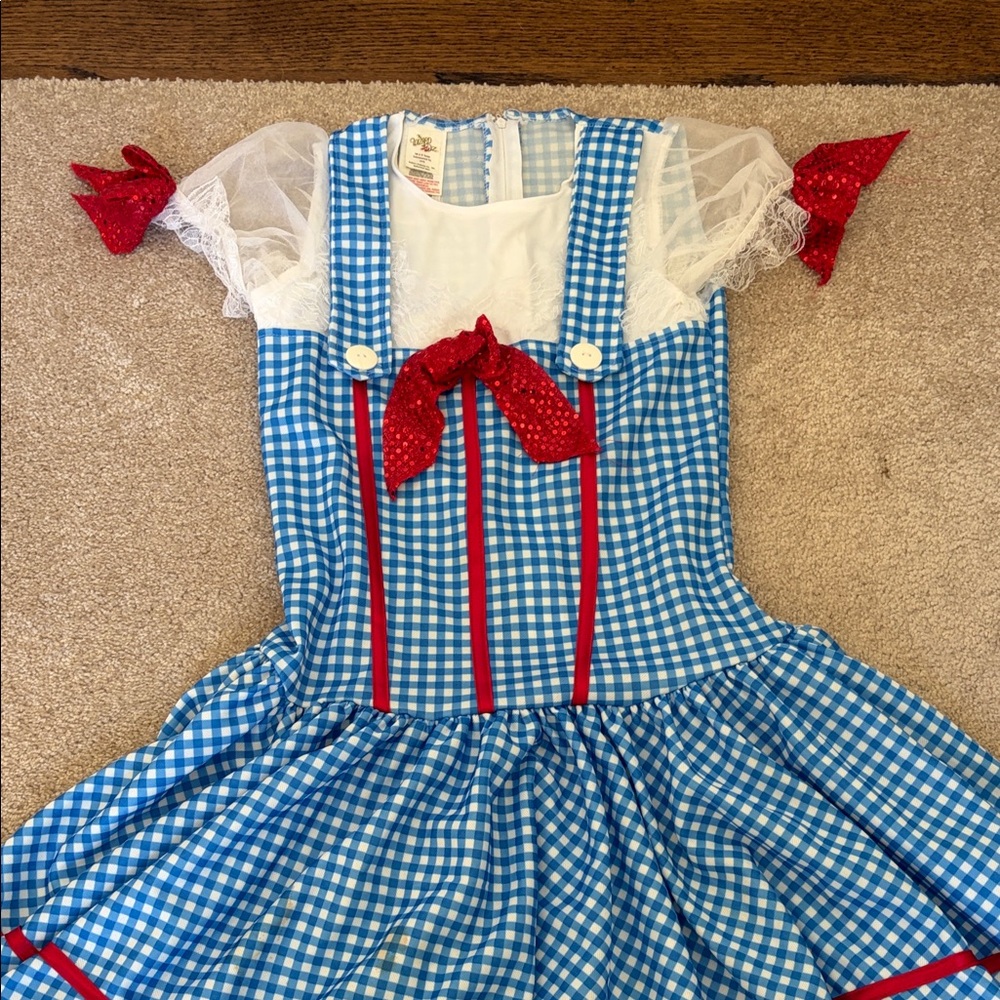 Blue and Red Gingham Kids Dorothy Costume